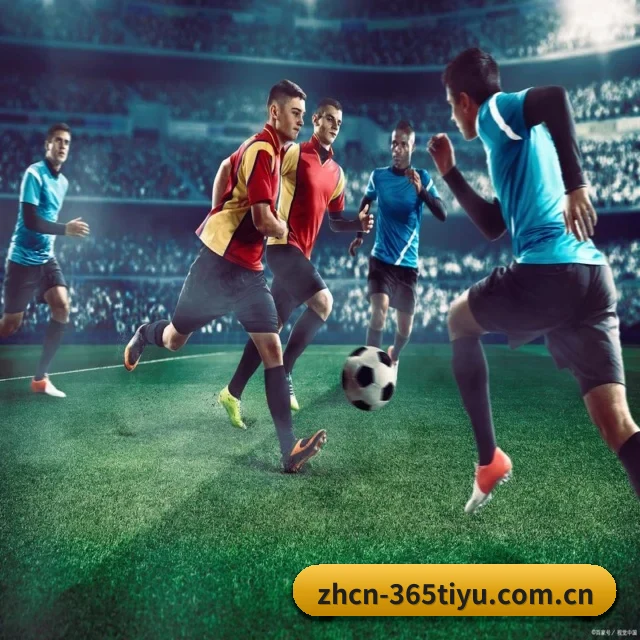 365体育 APP